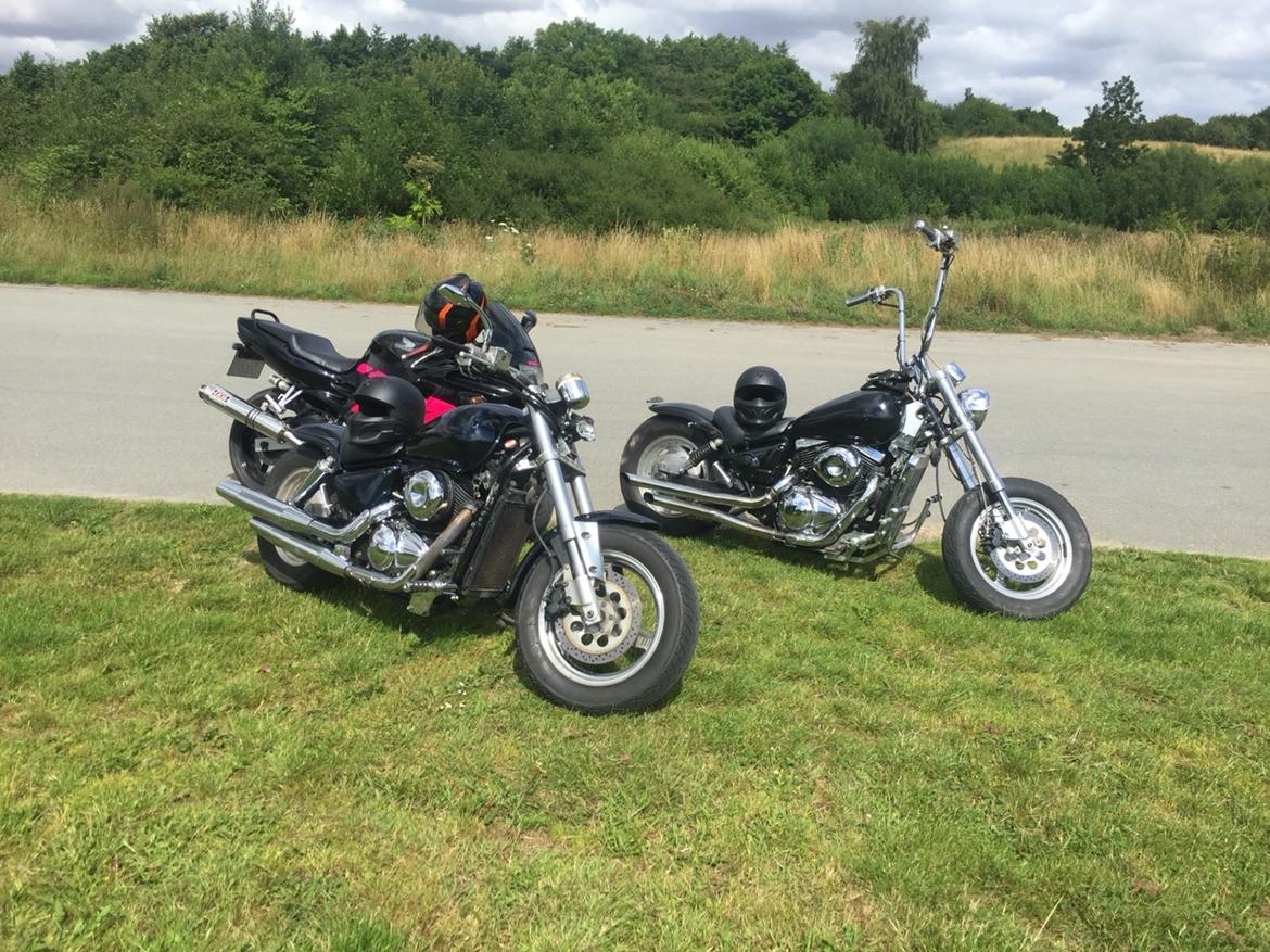 Suzuki VZ 800 Marauder billede 4