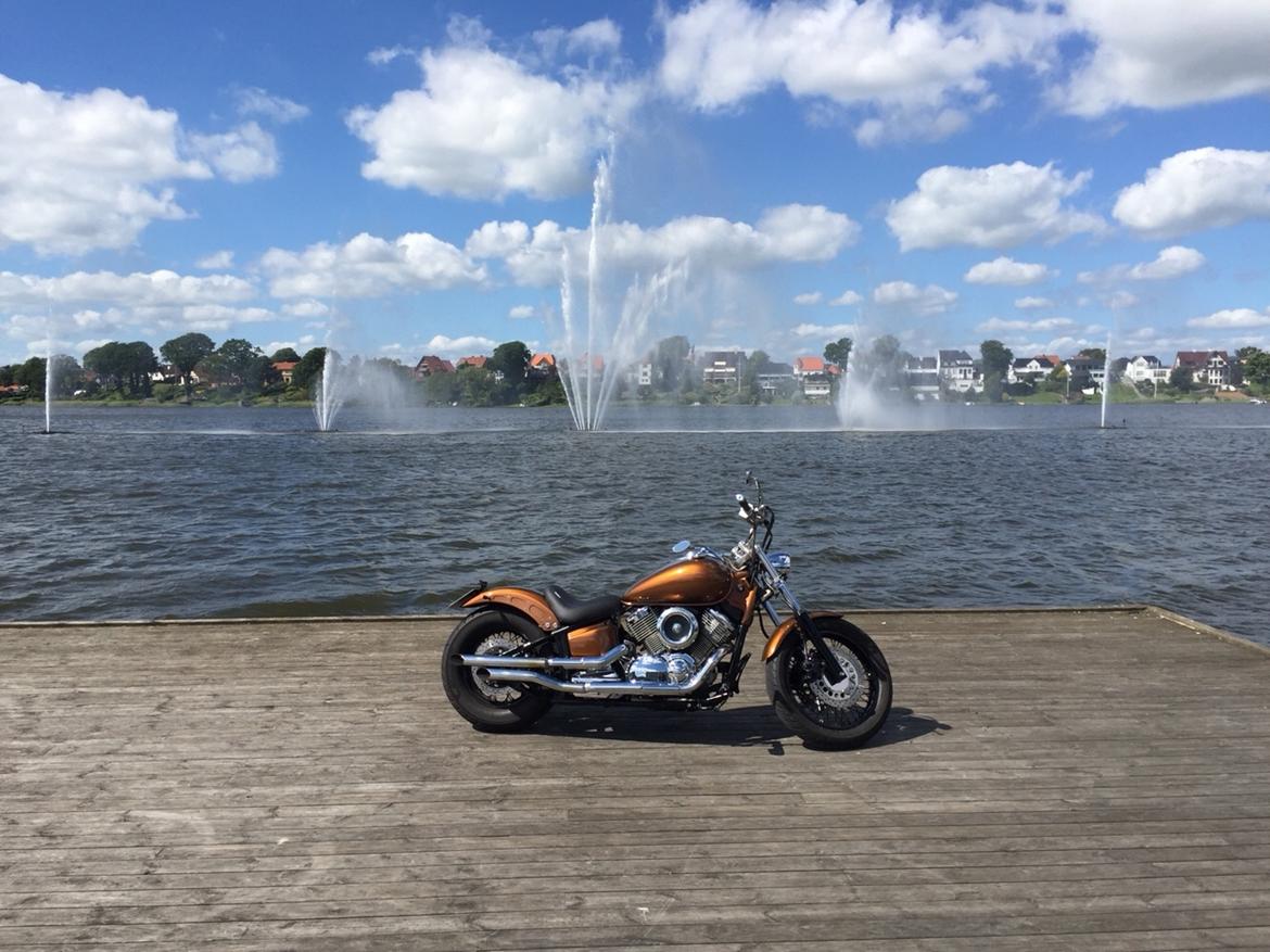 Yamaha Dragstar xvs 1100 custom billede 1