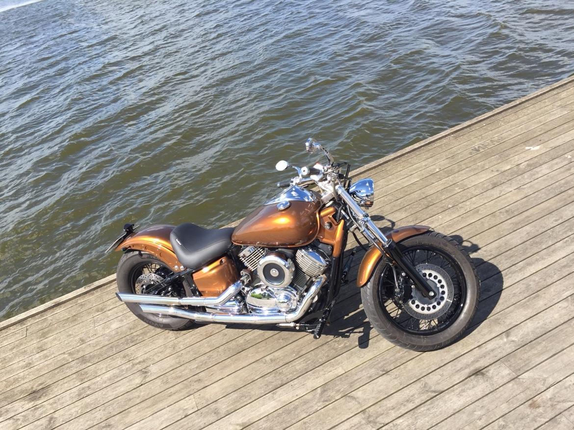 Yamaha Dragstar xvs 1100 custom billede 5