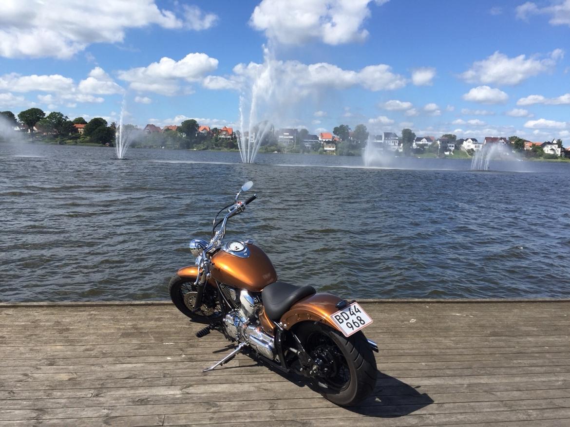 Yamaha Dragstar xvs 1100 custom billede 7