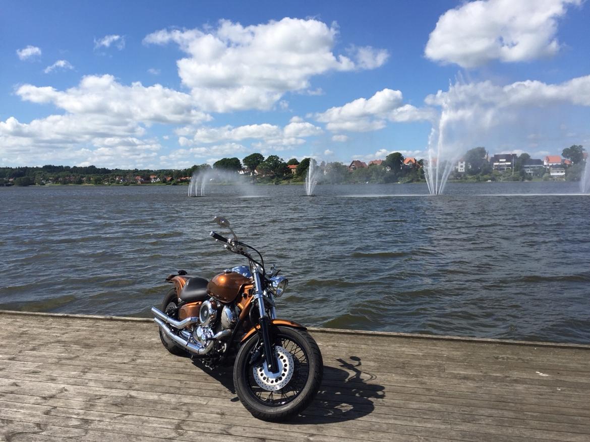 Yamaha Dragstar xvs 1100 custom billede 9