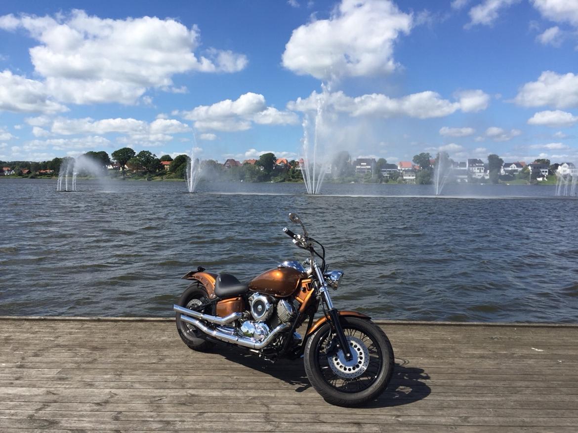 Yamaha Dragstar xvs 1100 custom billede 11