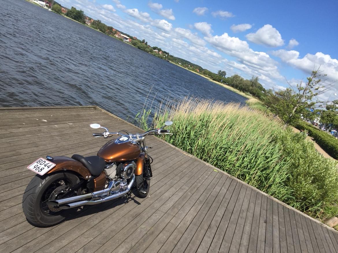 Yamaha Dragstar xvs 1100 custom billede 12