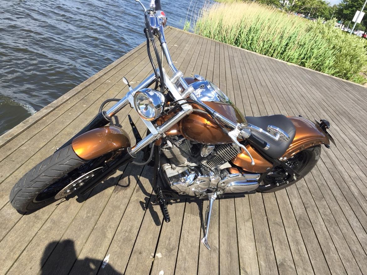 Yamaha Dragstar xvs 1100 custom billede 13