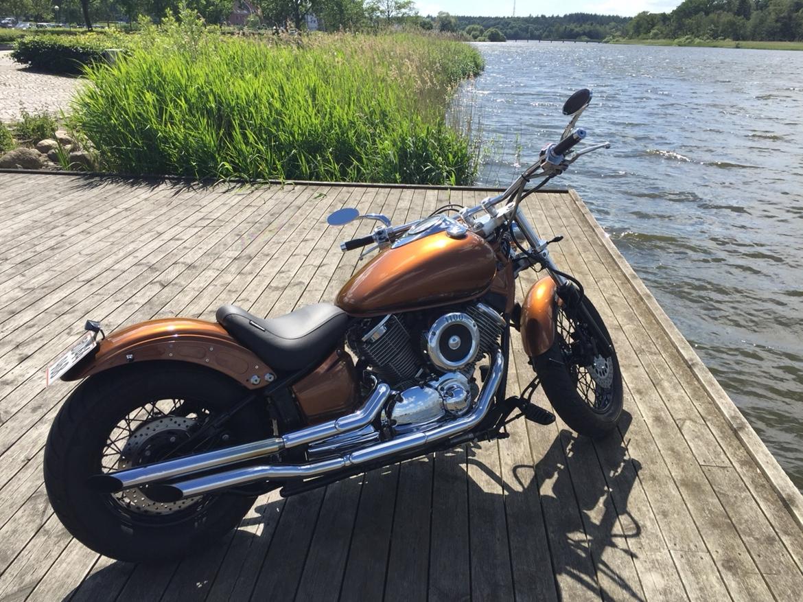 Yamaha Dragstar xvs 1100 custom billede 14