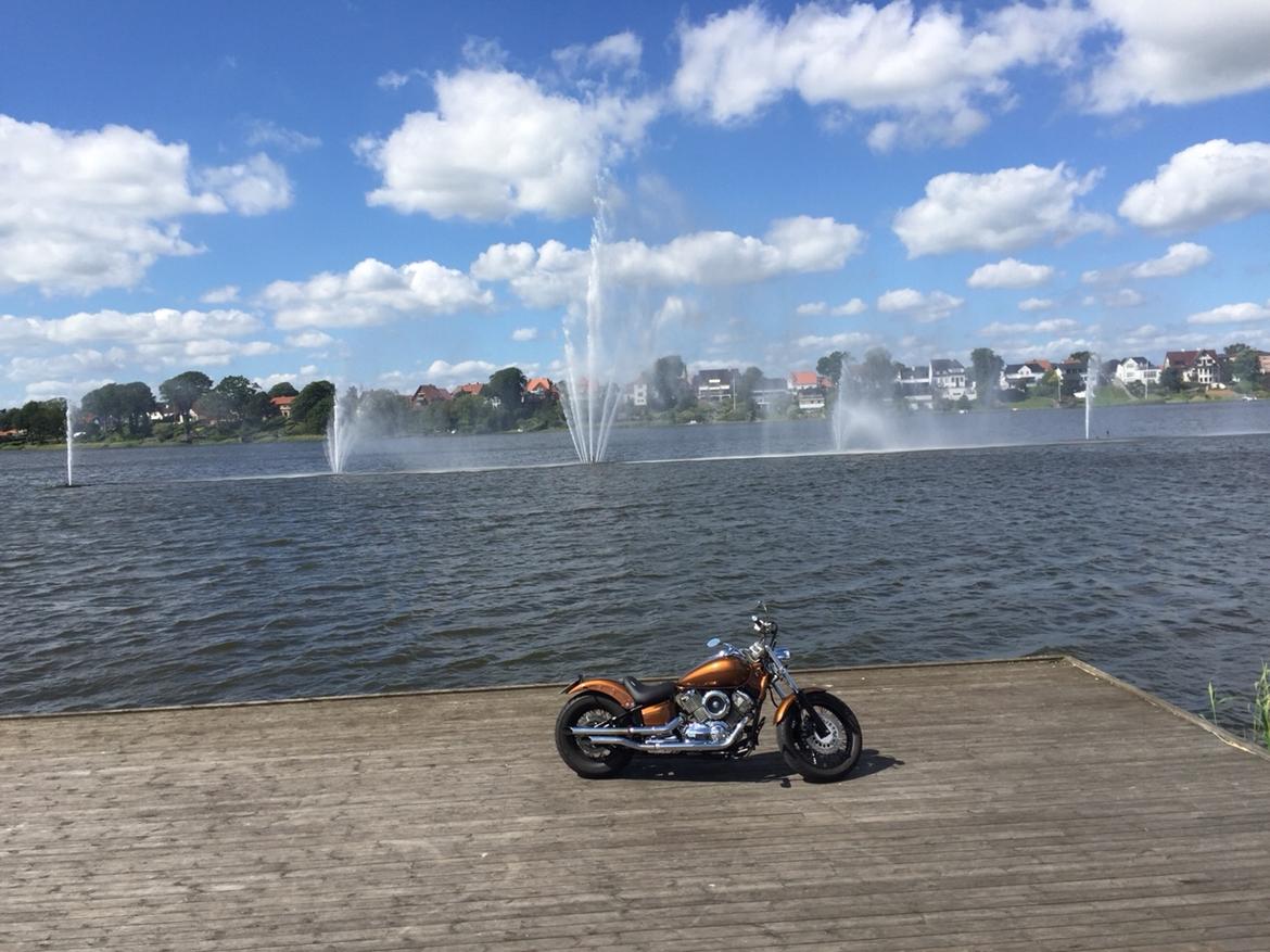 Yamaha Dragstar xvs 1100 custom billede 16