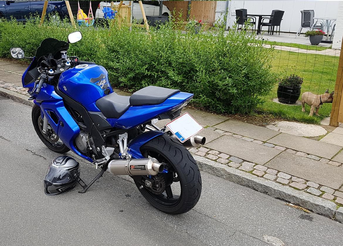 Suzuki SV 1000S K7 billede 7