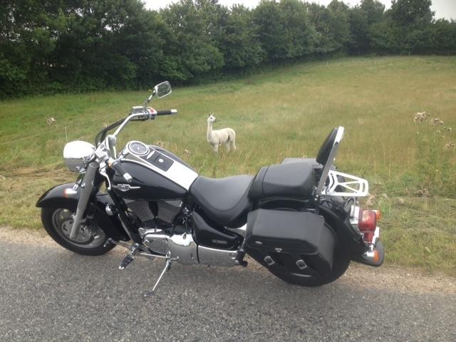 Suzuki Intruder VL1500 billede 19