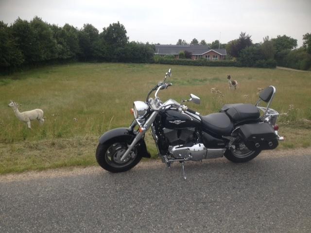 Suzuki Intruder VL1500 billede 20