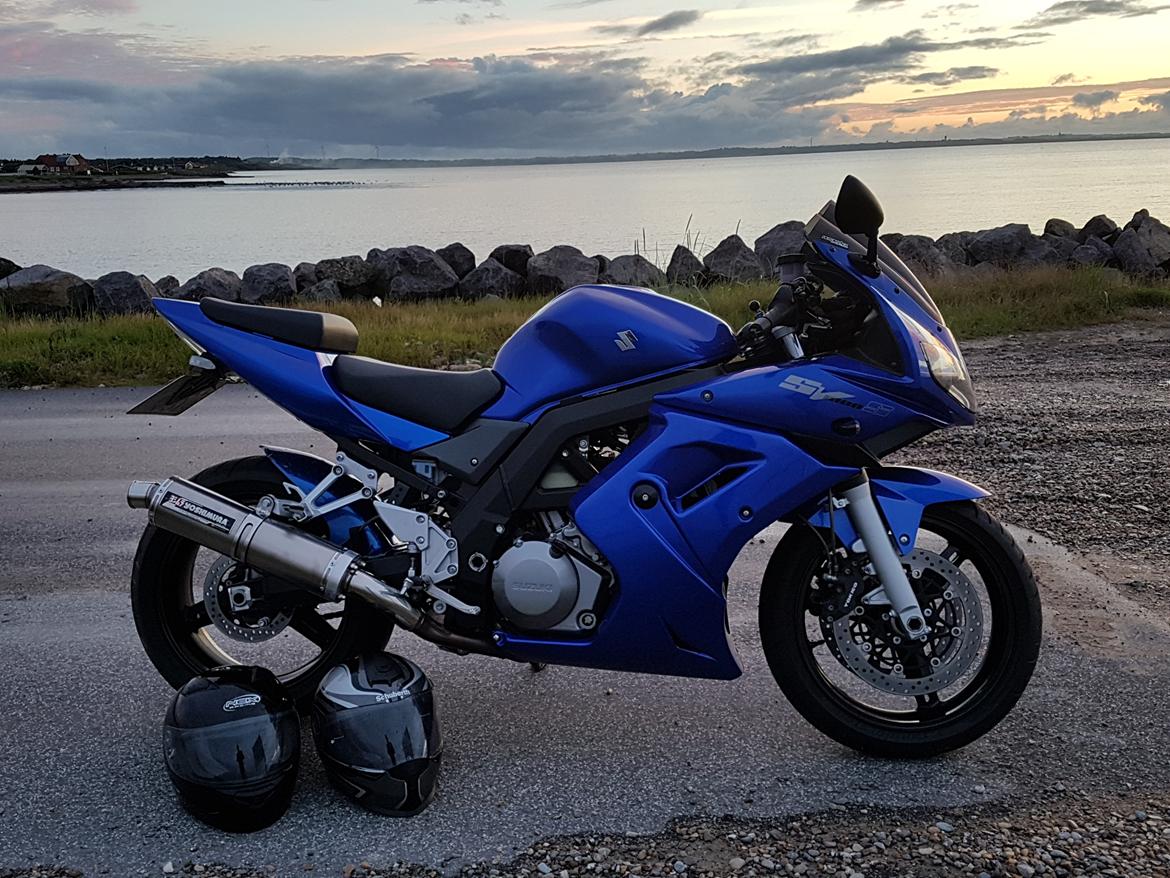 Suzuki SV 1000S K7 billede 1