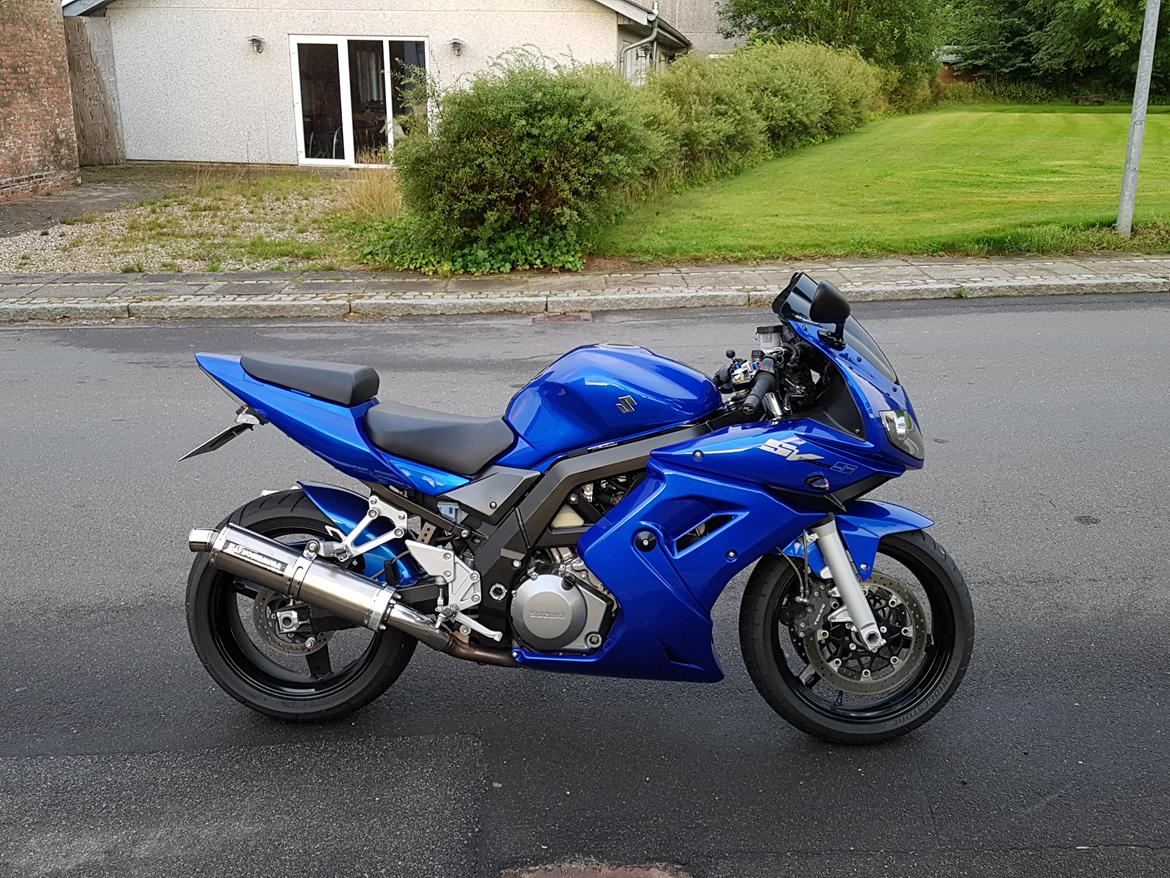 Suzuki SV 1000S K7 billede 11