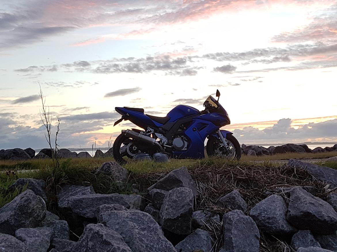 Suzuki SV 1000S K7 billede 2