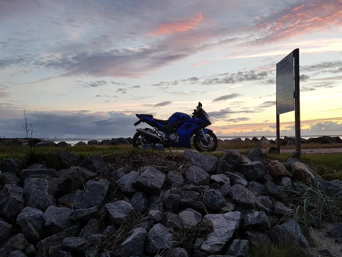 Suzuki SV 1000S K7 billede 12