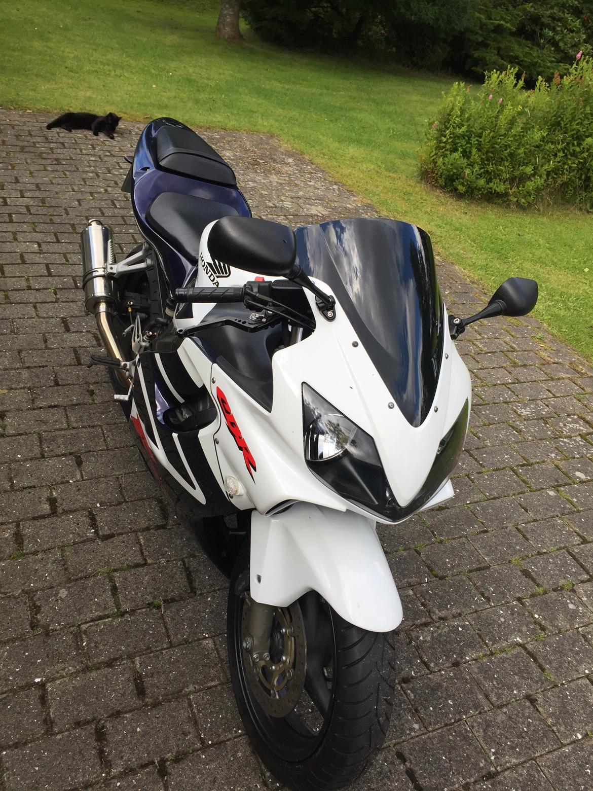 Honda CBR 600 F4i F Sport billede 6