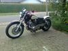Lifan 250V