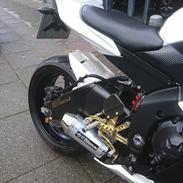 Yamaha R6 rj11