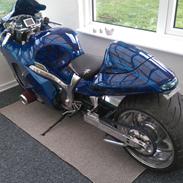 Suzuki hayabusa turbo (big blue bear)