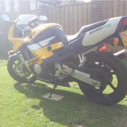 Honda CBR 600 f3
