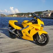 Honda VFR 800 FI