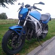 Suzuki Gsx600f 