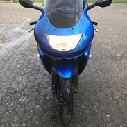 Kawasaki Zx9r