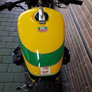Honda Senna tribute multiple looks