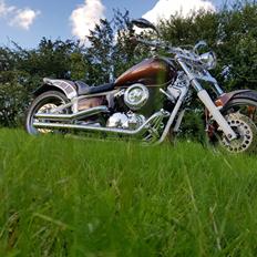 Yamaha XVS 1100 Drag Star Custom