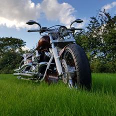 Yamaha XVS 1100 Drag Star Custom
