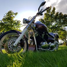 Yamaha XVS 1100 Drag Star Custom