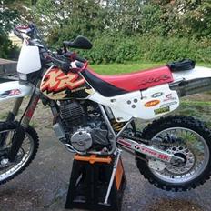Honda XR600R