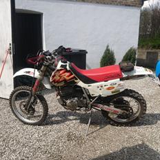 Honda XR600R