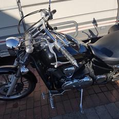 Kawasaki VN 900 Custom