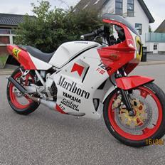 Yamaha TZR FIII Hasegawa
