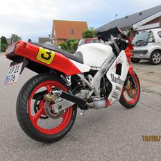 Yamaha TZR FIII Hasegawa