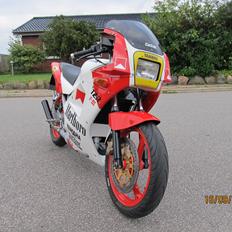 Yamaha TZR FIII Hasegawa