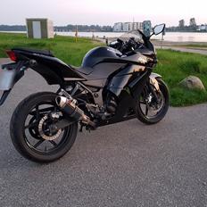 Kawasaki Ninja 250R