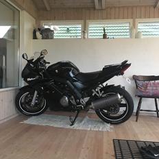 Suzuki Sv 1000s