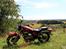 Suzuki GZ 250 Marauder  - Bjerget i Broby 