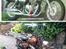 Geely Custom 250 Chopper *solgt*