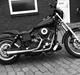 Harley Davidson FXDX