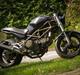 Ducati Monster 600