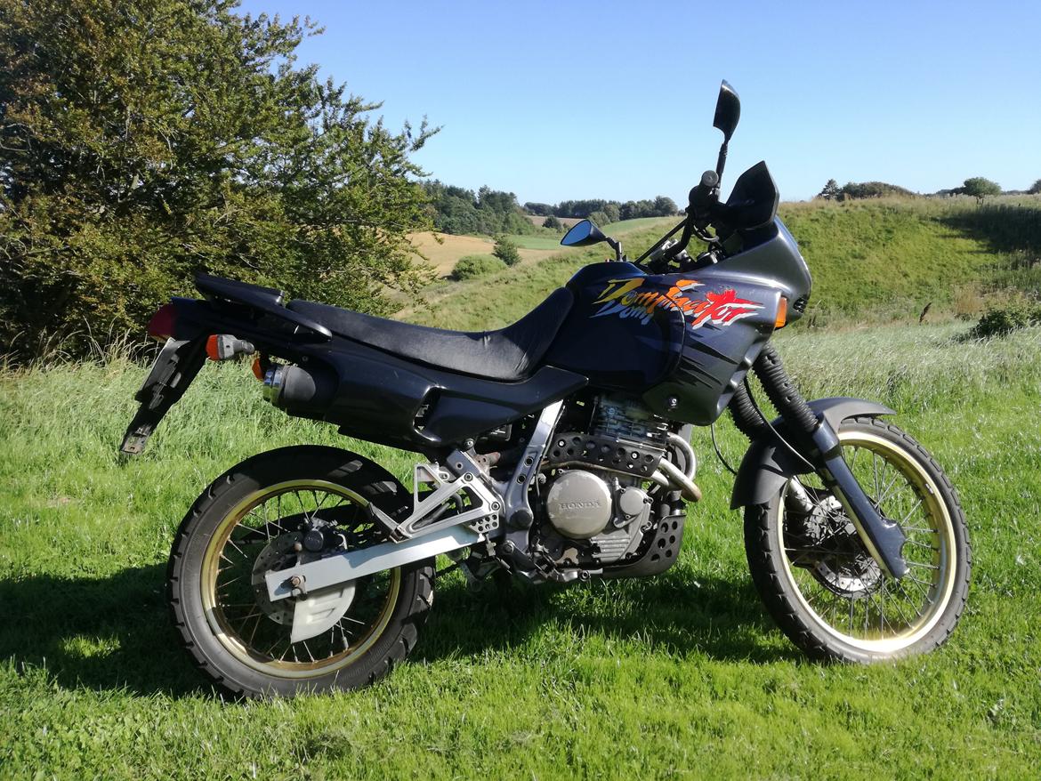 Honda NX 650 Dominator(solgt) billede 1