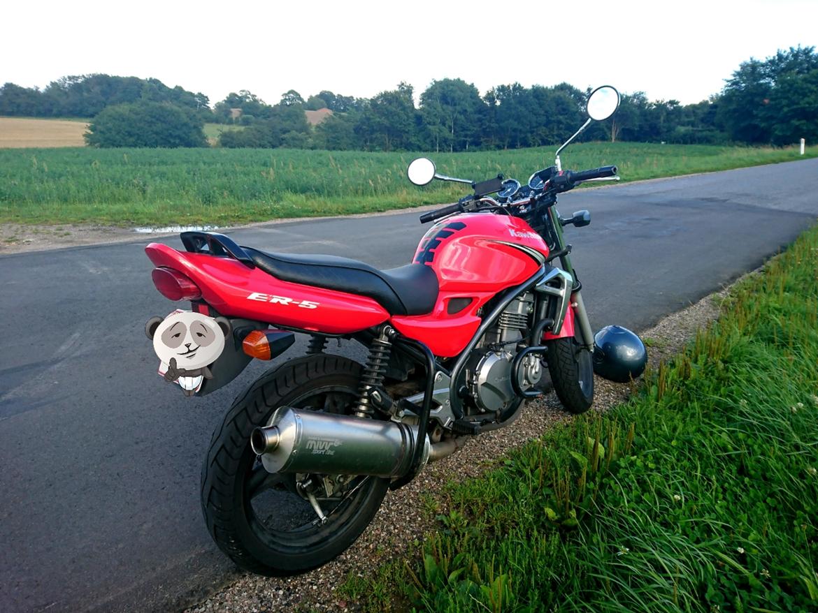 Kawasaki ER-5 (Solgt)  billede 2
