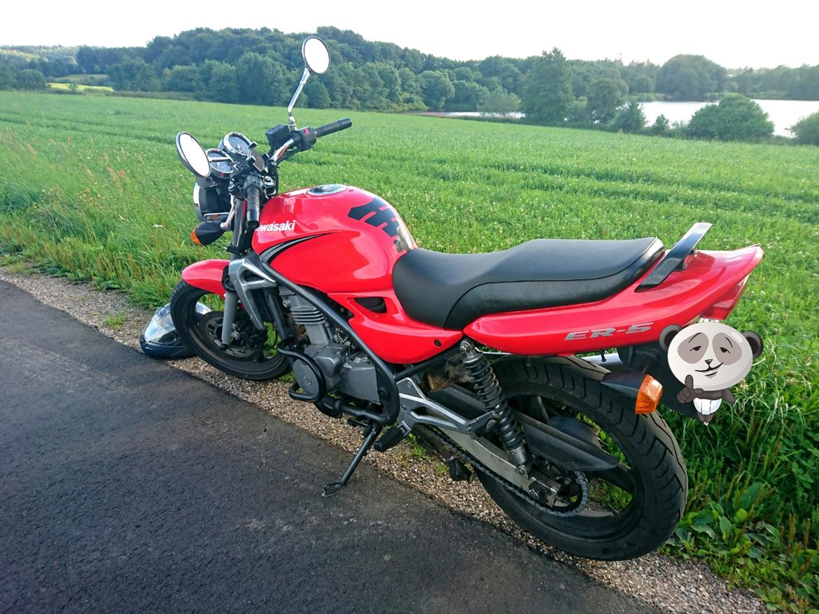 Kawasaki ER-5 (Solgt)  billede 4