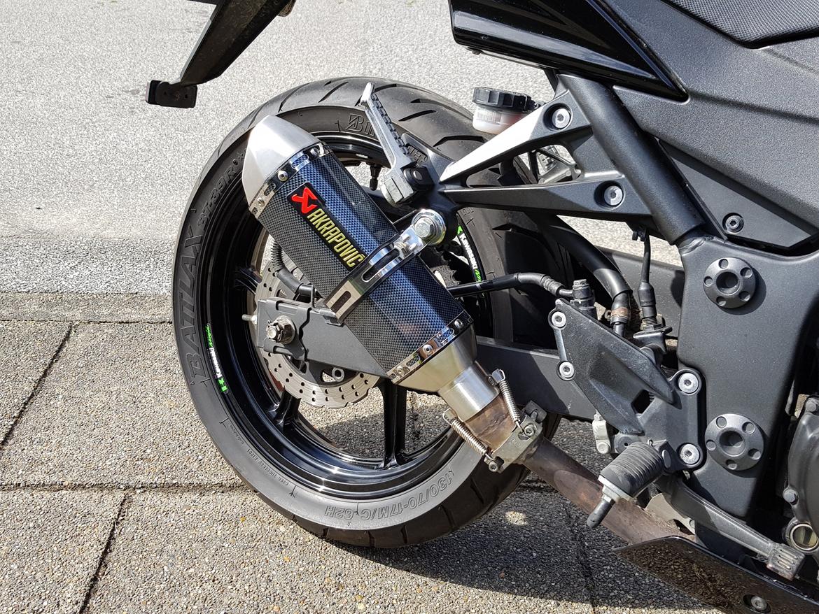 Kawasaki Ninja 250R billede 16