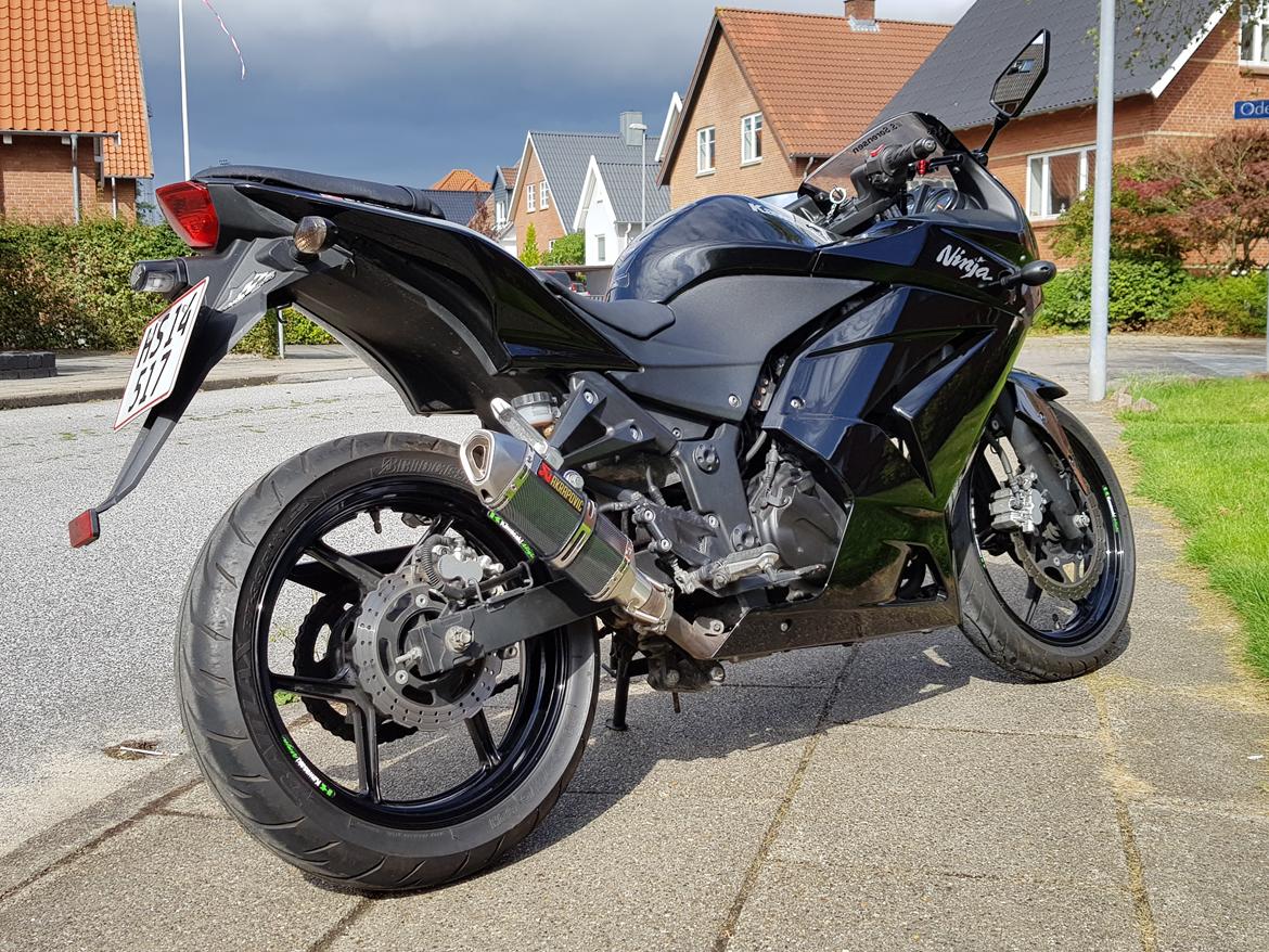 Kawasaki Ninja 250R billede 12