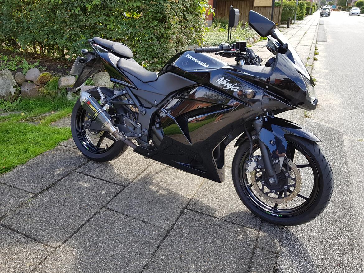 Kawasaki Ninja 250R billede 13