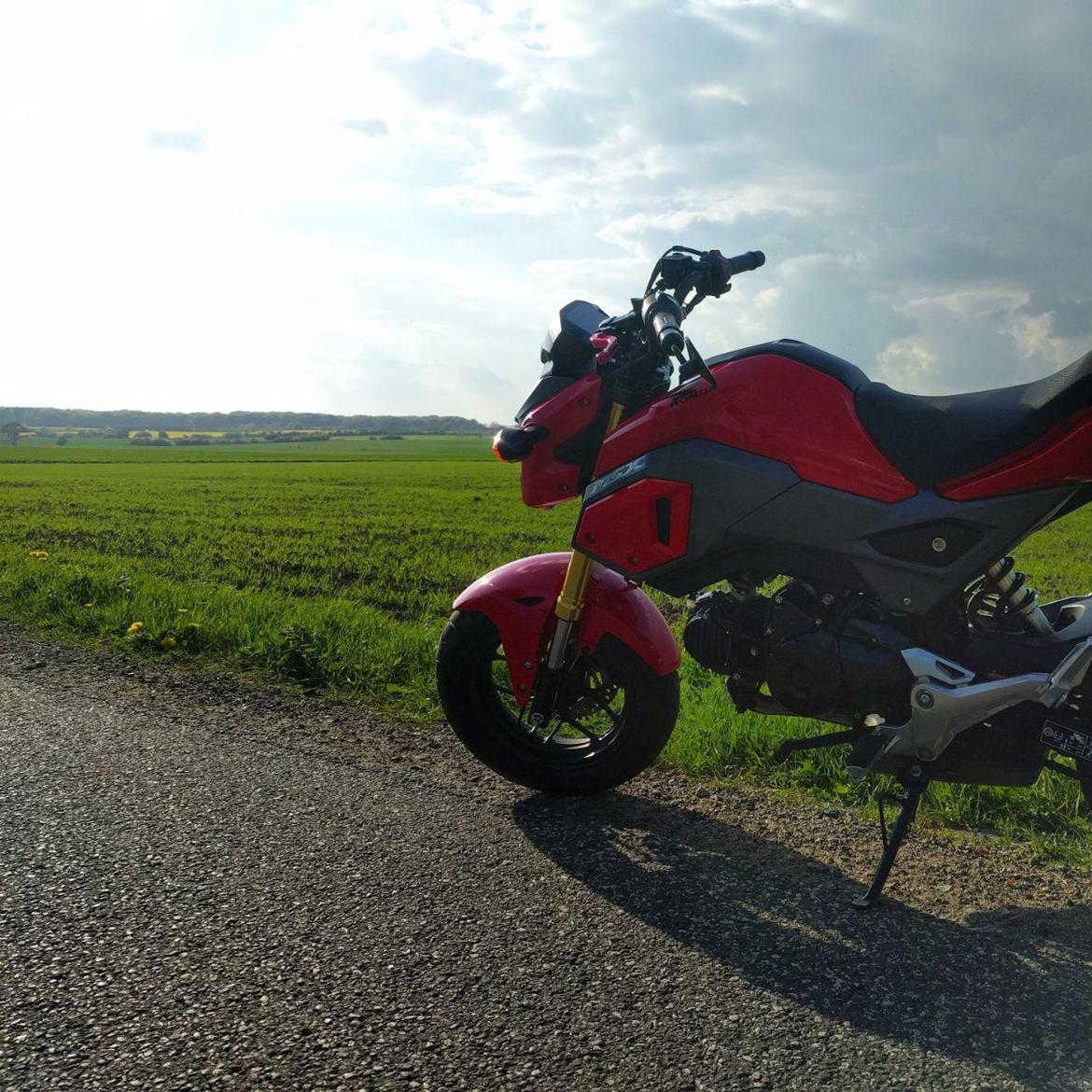 Honda msx125 billede 3