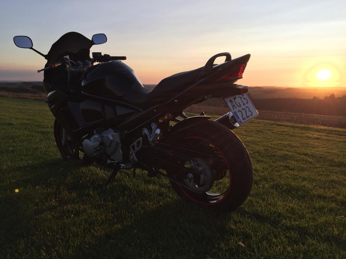 Suzuki GSX650F billede 12