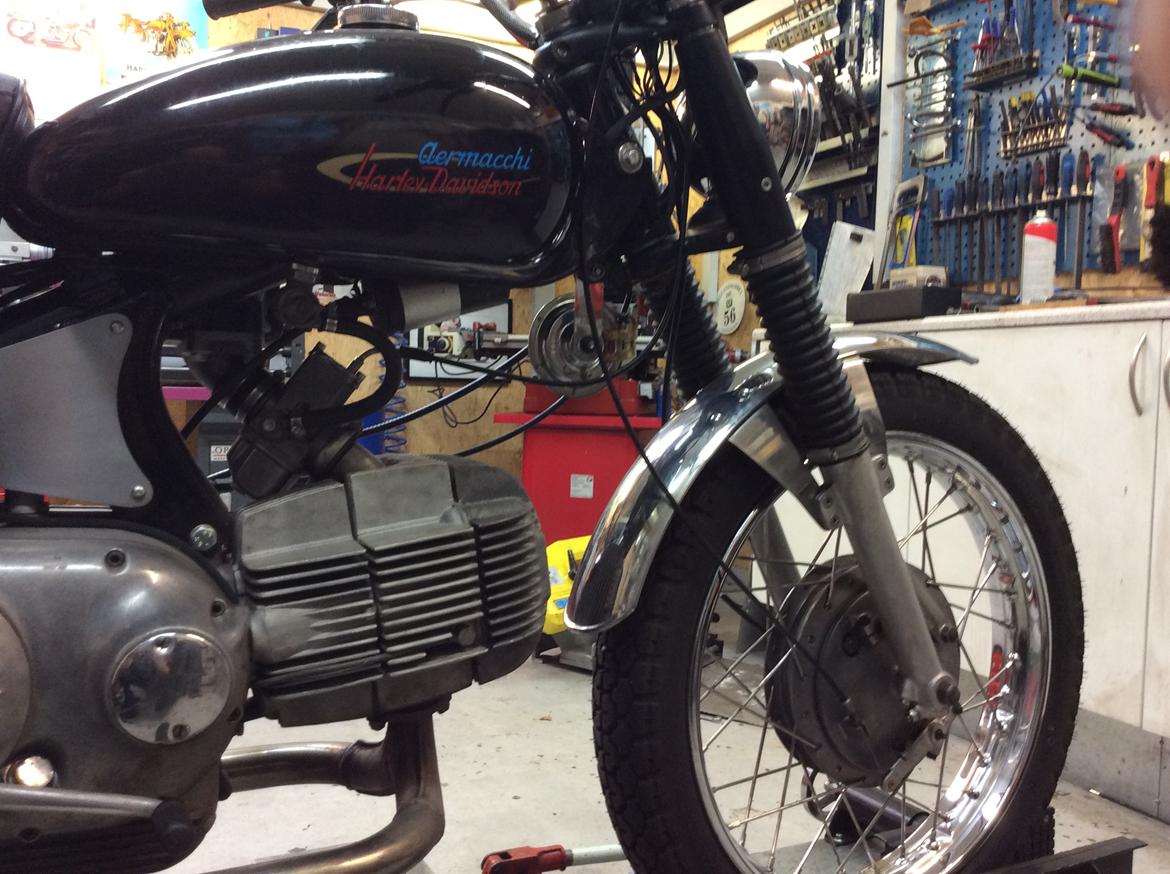 Harley Davidson Aermachi SS Sprint 350 kubik billede 5